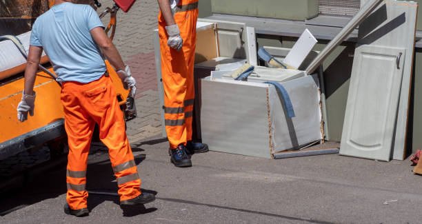 Best Construction Debris Removal  in Ladd, IL