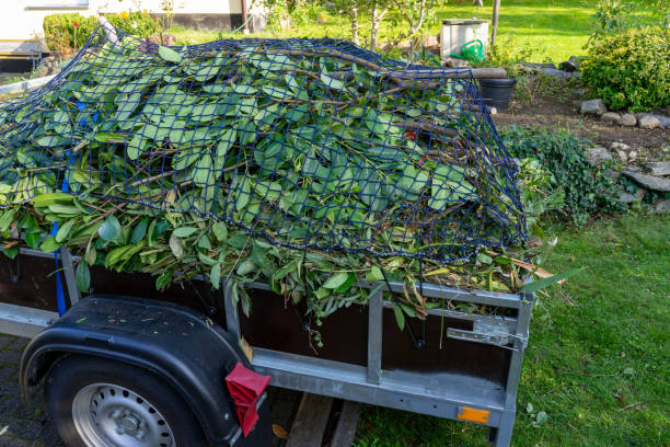 Best Carpet Removal and Disposal  in Ladd, IL